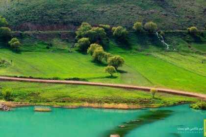 رضا ناظمی