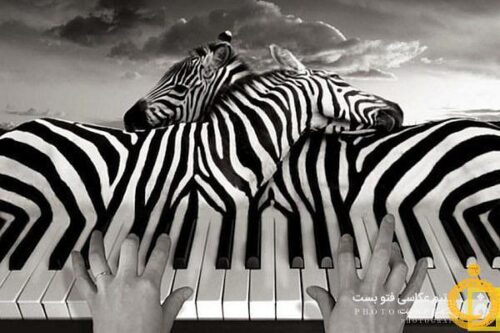 Photo-manipulation-by-Thomas-Barbey-Piano-Piece-Image-via-123inspiration-com